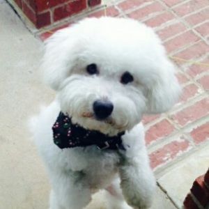 Meet your Posher, Abril